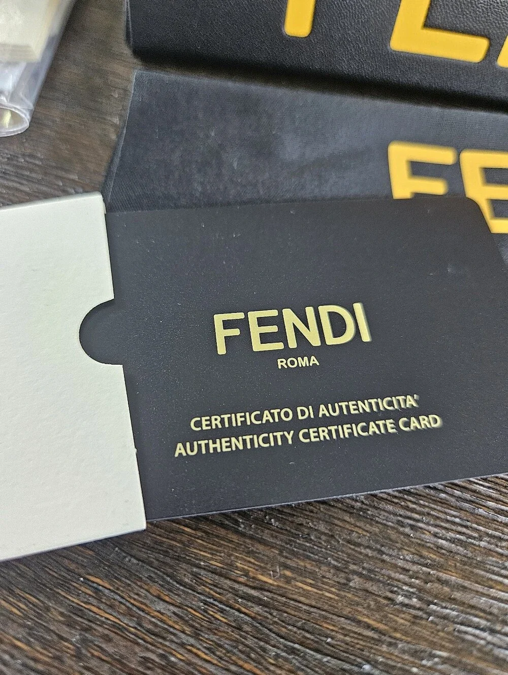 Fendi stylish cat
